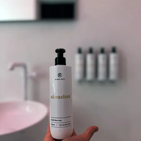 Donebe Boutique & Private Wellness 4* Kutná Hora